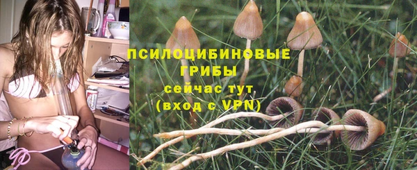 мескалин Армянск