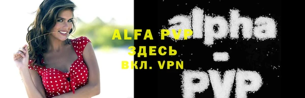 spice Арсеньев