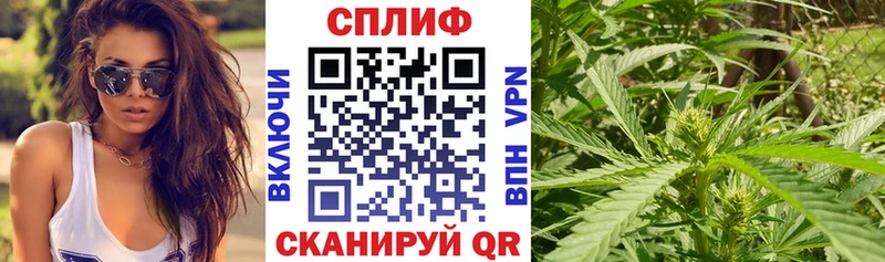 Купить где  Таруса  Марихуана семена 